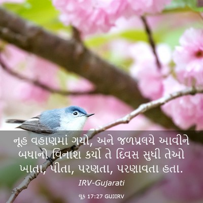 Picture 03 - લૂક 17:27 GUJIRV - નૂહ વહાણમાં ગયો, - Bible Verse Picture