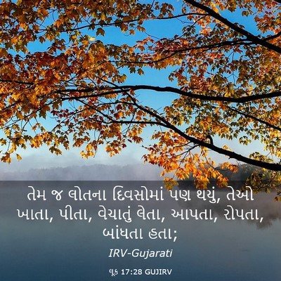Picture 03 - લૂક 17:28 GUJIRV - તેમ જ લોતના - Bible Verse Picture