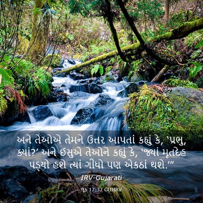 Picture 03 - લૂક 17:37 GUJIRV - અને તેઓએ તેમને - Bible Verse Picture