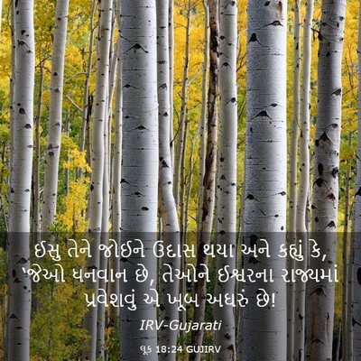 Picture 03 - લૂક 18:24 GUJIRV - ઈસુ તેને જોઈને - Bible Verse Picture