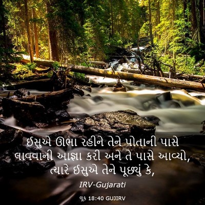Picture 03 - લૂક 18:40 GUJIRV - ઈસુએ ઊભા રહીને - Bible Verse Picture