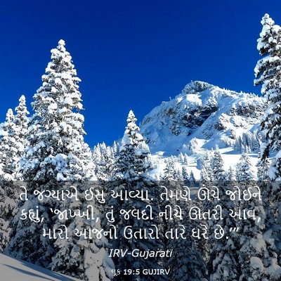 Picture 03 - લૂક 19:5 GUJIRV - તે જગ્યાએ ઈસુ - Bible Verse Picture