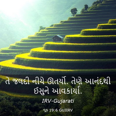 Picture 03 - લૂક 19:6 GUJIRV - તે જલદી નીચે - Bible Verse Picture