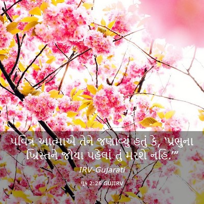 Picture 03 - લૂક 2:26 GUJIRV - પવિત્ર આત્માએ - Bible Verse Picture
