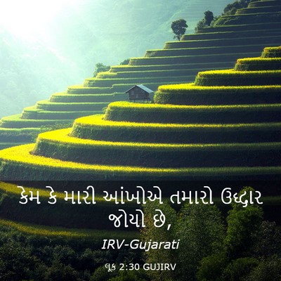 Picture 03 - લૂક 2:30 GUJIRV - કેમ કે મારી આંખોએ - Bible Verse Picture