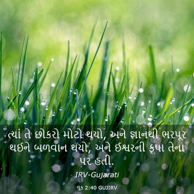 Picture 03 - લૂક 2:40 GUJIRV - ત્યાં તે છોકરો - Bible Verse Picture
