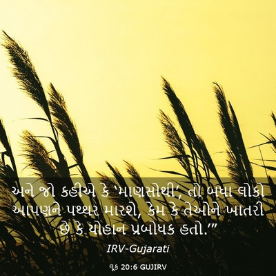 Picture 03 - લૂક 20:6 GUJIRV - અને જો કહીએ કે - Bible Verse Picture
