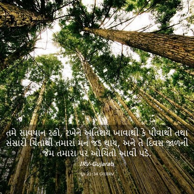 Picture 03 - લૂક 21:34 GUJIRV - તમે સાવધાન રહો, - Bible Verse Picture