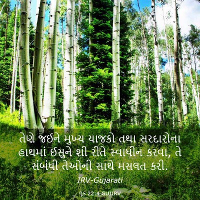 Picture 03 - લૂક 22:4 GUJIRV - તેણે જઈને મુખ્ય - Bible Verse Picture
