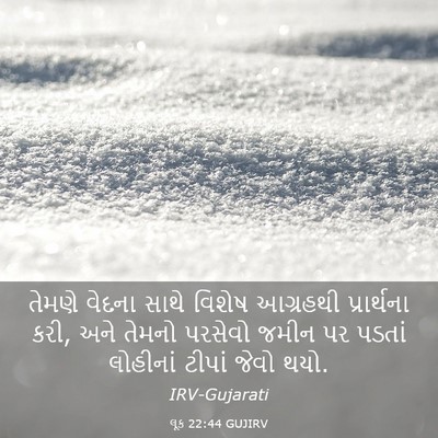 Picture 03 - લૂક 22:44 GUJIRV - તેમણે વેદના સાથે - Bible Verse Picture