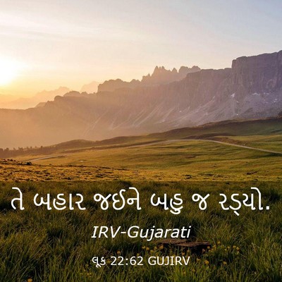 Picture 03 - લૂક 22:62 GUJIRV - તે બહાર જઈને બહુ જ - Bible Verse Picture