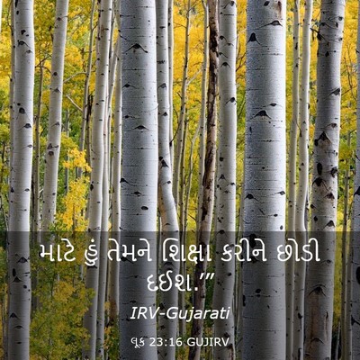 Picture 03 - લૂક 23:16 GUJIRV - માટે હું તેમને - Bible Verse Picture