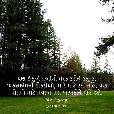 Picture 03 - લૂક 23:28 GUJIRV - પણ ઈસુએ તેઓની તરફ - Bible Verse Picture