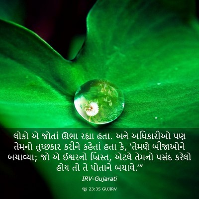 Picture 03 - લૂક 23:35 GUJIRV - લોકો એ જોતાં ઊભા - Bible Verse Picture
