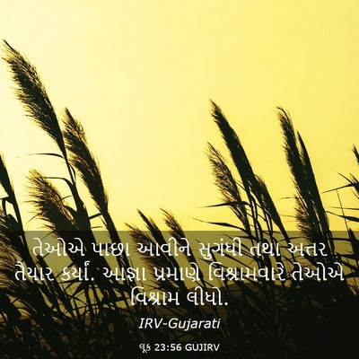 Picture 03 - લૂક 23:56 GUJIRV - તેઓએ પાછા આવીને - Bible Verse Picture