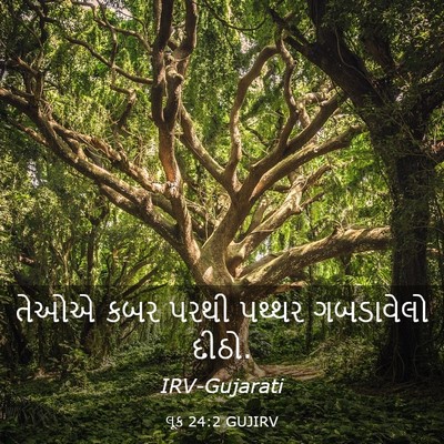 Picture 03 - લૂક 24:2 GUJIRV - તેઓએ કબર પરથી - Bible Verse Picture