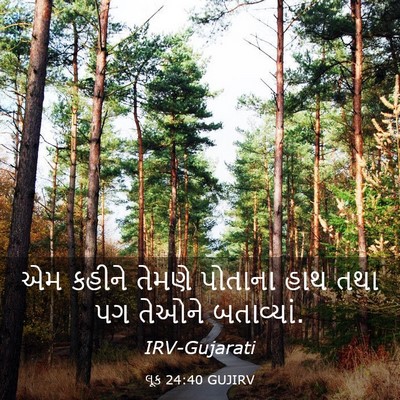Picture 03 - લૂક 24:40 GUJIRV - એમ કહીને તેમણે - Bible Verse Picture