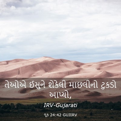 Picture 03 - લૂક 24:42 GUJIRV - તેઓએ ઈસુને શેકેલી - Bible Verse Picture