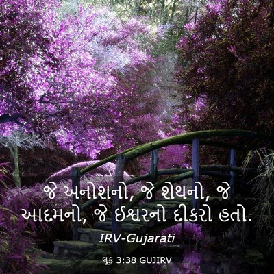 Picture 03 - લૂક 3:38 GUJIRV - જે અનોશનો, જે - Bible Verse Picture
