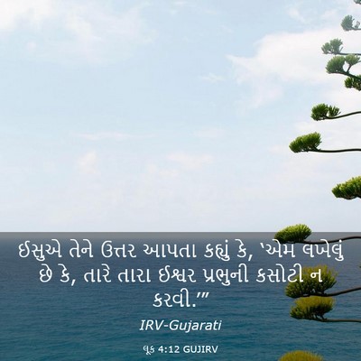 Picture 03 - લૂક 4:12 GUJIRV - ઈસુએ તેને ઉત્તર - Bible Verse Picture