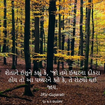 Picture 03 - લૂક 4:3 GUJIRV - શેતાને ઈસુને - Bible Verse Picture