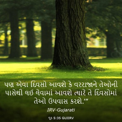 Picture 03 - લૂક 5:35 GUJIRV - પણ એવા દિવસો આવશે - Bible Verse Picture