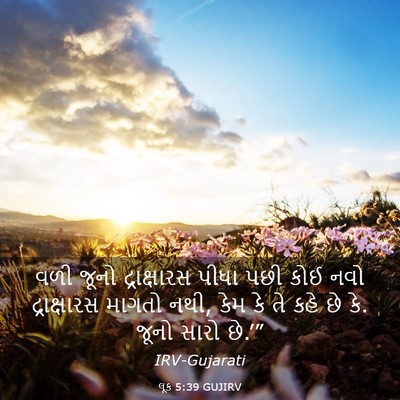 Picture 03 - લૂક 5:39 GUJIRV - વળી જૂનો - Bible Verse Picture