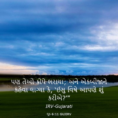 Picture 03 - લૂક 6:11 GUJIRV - પણ તેઓ ક્રોધે - Bible Verse Picture