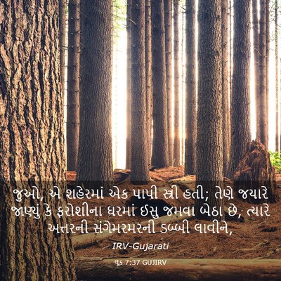 Picture 03 - લૂક 7:37 GUJIRV - જુઓ, એ શહેરમાં એક - Bible Verse Picture