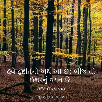 Picture 03 - લૂક 8:11 GUJIRV - હવે દ્રષ્ટાંતનો - Bible Verse Picture