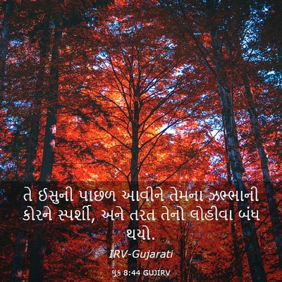 Picture 03 - લૂક 8:44 GUJIRV - તે ઈસુની પાછળ - Bible Verse Picture