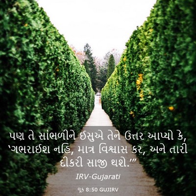 Picture 03 - લૂક 8:50 GUJIRV - પણ તે સાંભળીને - Bible Verse Picture