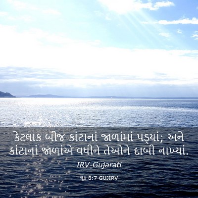 Picture 03 - લૂક 8:7 GUJIRV - કેટલાક બીજ - Bible Verse Picture