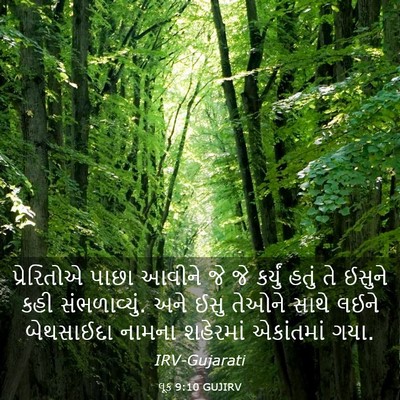Picture 03 - લૂક 9:10 GUJIRV - પ્રેરિતોએ પાછા - Bible Verse Picture