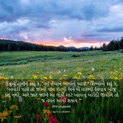 Picture 03 - લૂક 9:13 GUJIRV - ઈસુએ તેઓને કહ્યું - Bible Verse Picture