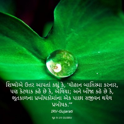 Picture 03 - લૂક 9:19 GUJIRV - શિષ્યોએ ઉત્તર - Bible Verse Picture