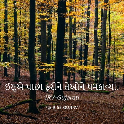 Picture 03 - લૂક 9:55 GUJIRV - ઈસુએ પાછા ફરીને - Bible Verse Picture
