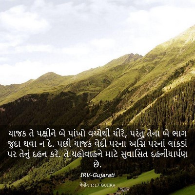 Picture 03 - લેવીય 1:17 GUJIRV - યાજક તે પક્ષીને બે - Bible Verse Picture