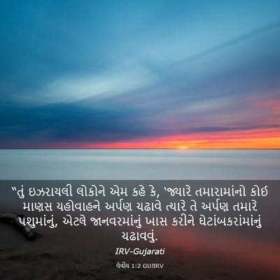 Picture 03 - લેવીય 1:2 GUJIRV - “તું ઇઝરાયલી - Bible Verse Picture