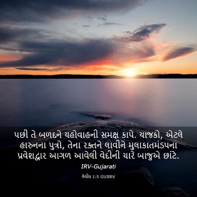 Picture 03 - લેવીય 1:5 GUJIRV - પછી તે બળદને - Bible Verse Picture