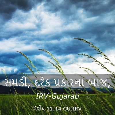 Picture 03 - લેવીય 11:14 GUJIRV - સમડી, દરેક - Bible Verse Picture