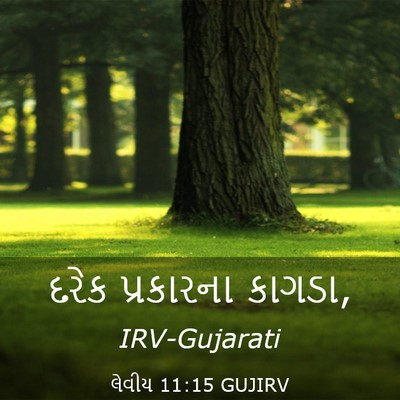 Picture 03 - લેવીય 11:15 GUJIRV - દરેક પ્રકારના - Bible Verse Picture