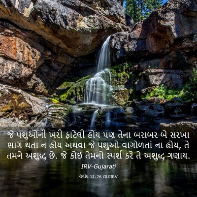 Picture 03 - લેવીય 11:26 GUJIRV - જે પશુઓની ખરી - Bible Verse Picture