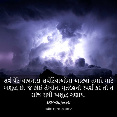 Picture 03 - લેવીય 11:31 GUJIRV - સર્વ પેટે - Bible Verse Picture