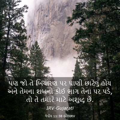 Picture 03 - લેવીય 11:38 GUJIRV - પણ જો તે બિયારણ પર - Bible Verse Picture
