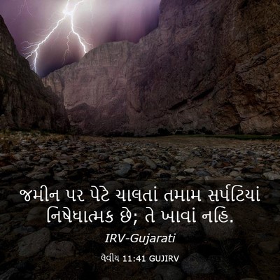 Picture 03 - લેવીય 11:41 GUJIRV - જમીન પર પેટે - Bible Verse Picture
