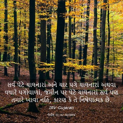 Picture 03 - લેવીય 11:42 GUJIRV - સર્વ પેટે - Bible Verse Picture