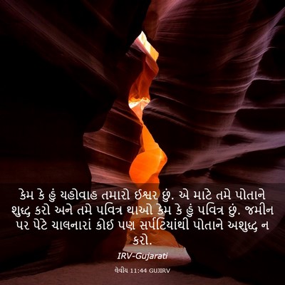 Picture 03 - લેવીય 11:44 GUJIRV - કેમ કે હું યહોવાહ - Bible Verse Picture
