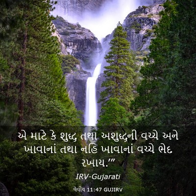 Picture 03 - લેવીય 11:47 GUJIRV - એ માટે કે શુદ્ધ તથા - Bible Verse Picture
