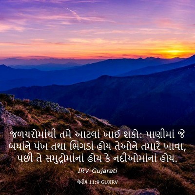 Picture 03 - લેવીય 11:9 GUJIRV - જળચરોમાંથી તમે - Bible Verse Picture